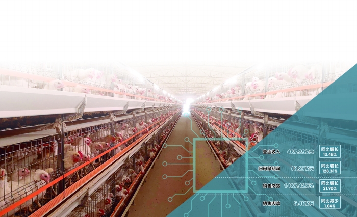 副总经理陈慧珊