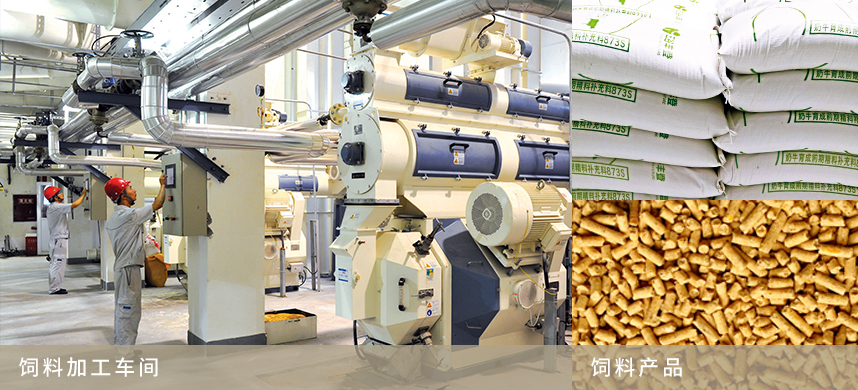 饲料生产线
